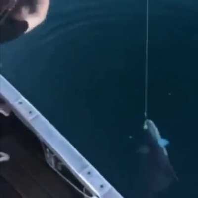 Otimo jeito de pesca