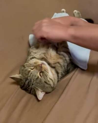 Getting tucked in