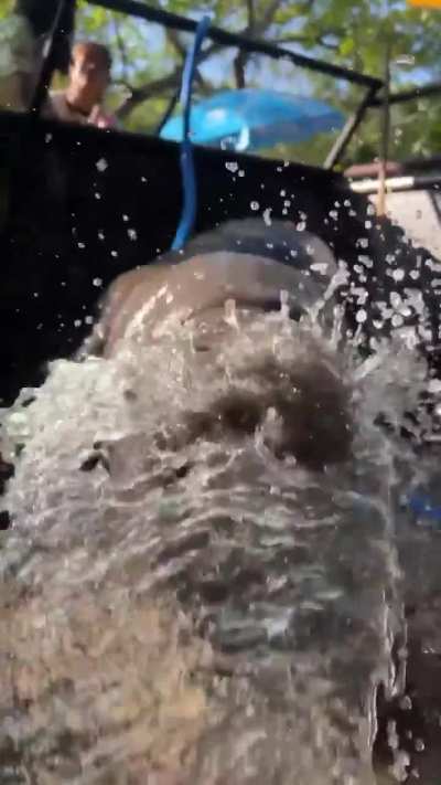 hose!