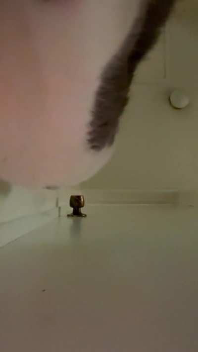There&rsquo;s something at the door