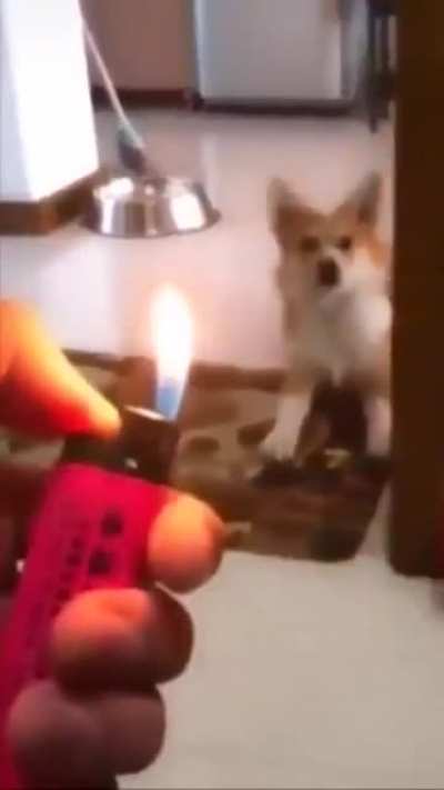 *Startled*