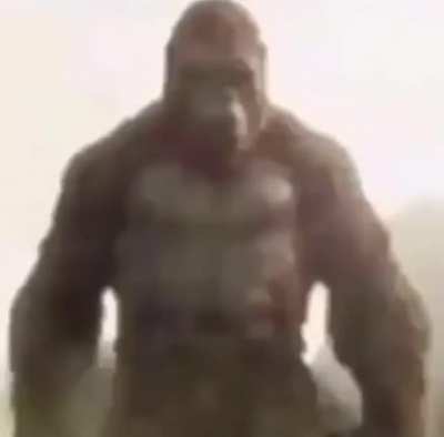 monke rules