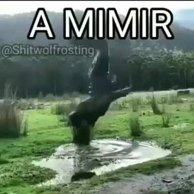 A Mimir