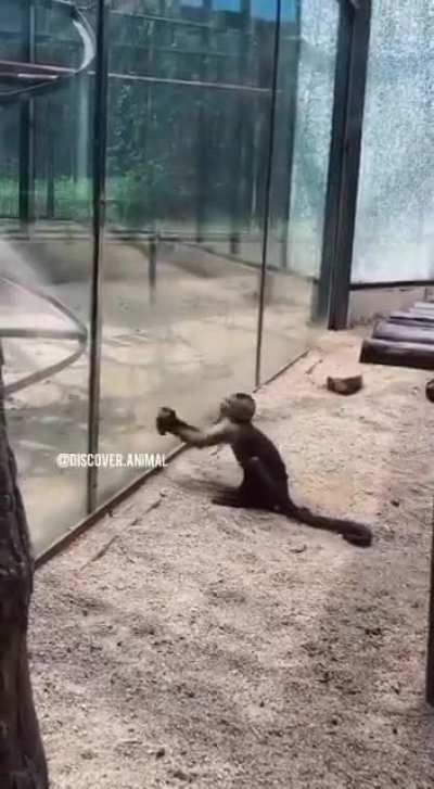 :D