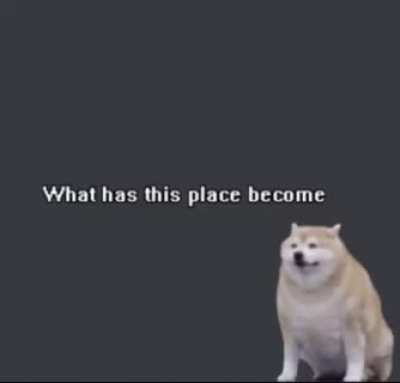Enter title here