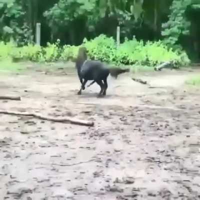 Little Man...Big Heart