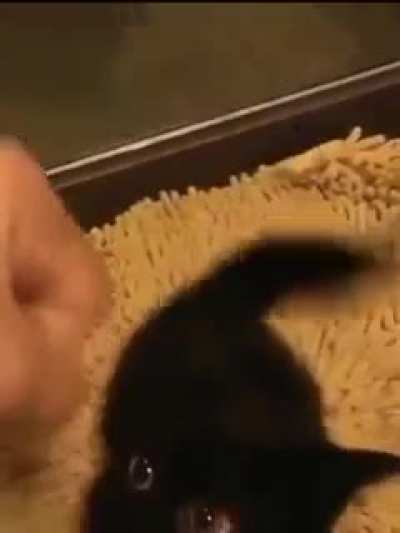 So smol