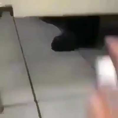 забавный прикол