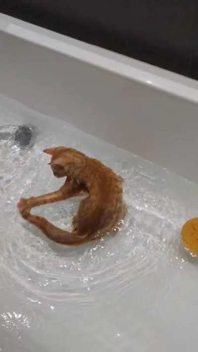 Touch Tha Splashy!