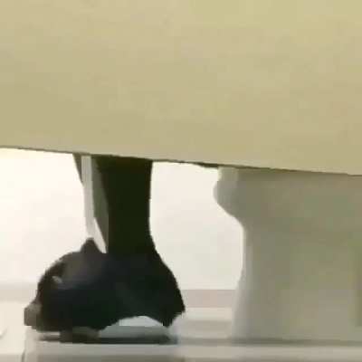 XD