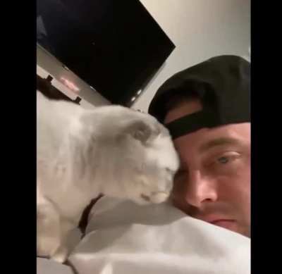 Cat be like mehahahaahhaah ( hope it&rsquo;s not a repost )