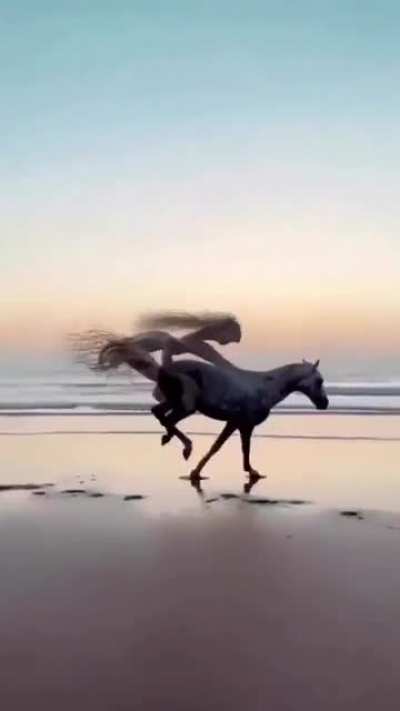 Run Roach!