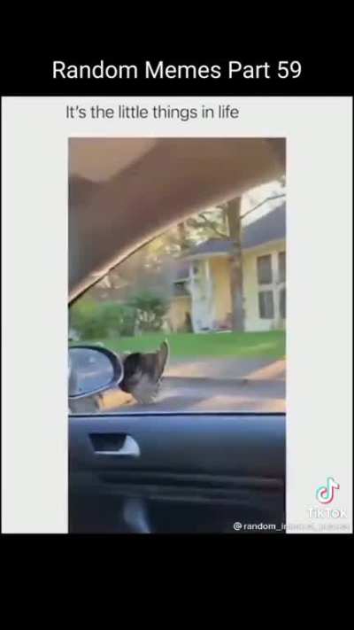 Meme