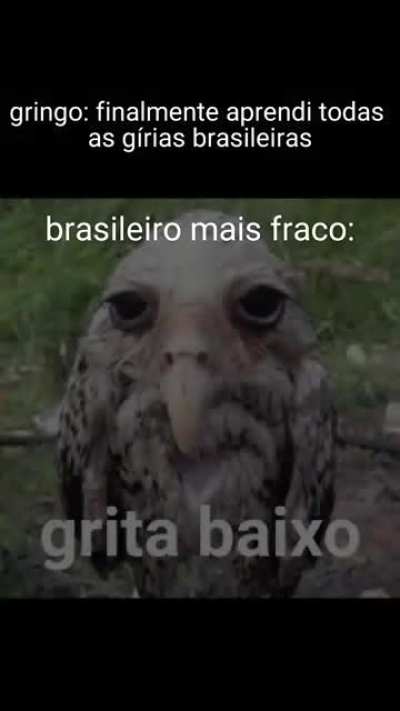 True