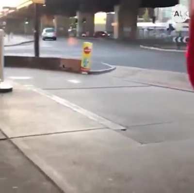 Eco-terrorists damage gas pumps