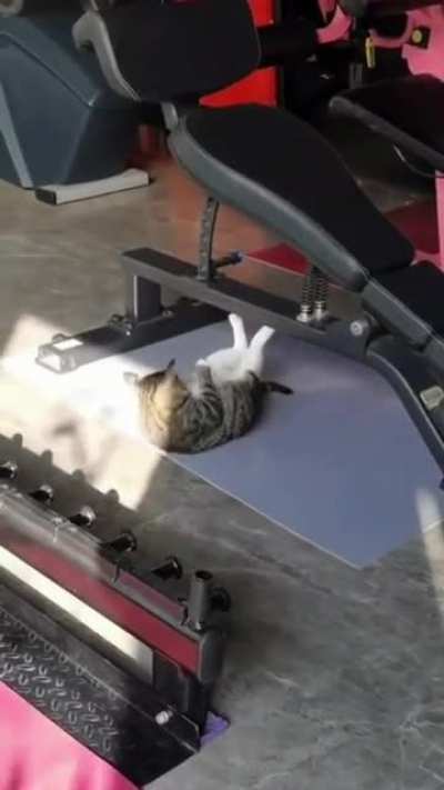 Some motivation for those who skip abs