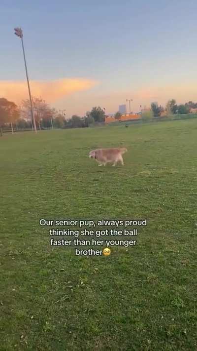 💕💕