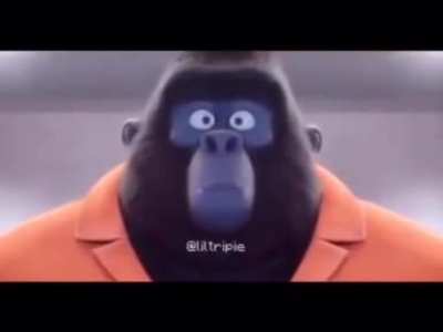 M O N K E