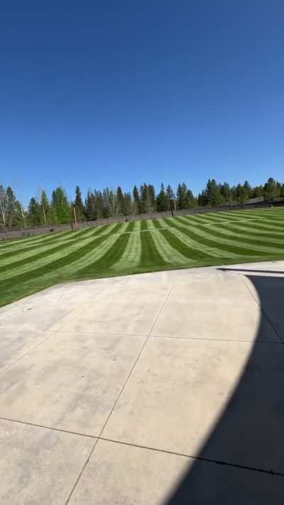 Lawncare bb