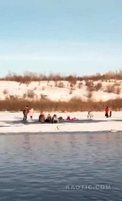 When bird watching goes bad