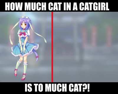 The line between "Catgirl" and "Furry" is a fine one...
