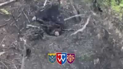 Ukraine War | &ldquo;Cygnus&rdquo; Vaporized Russians Compilation August 09-13, 2024. Russians Hammered Hard | Assortment Combat Footage NSFW 🔞