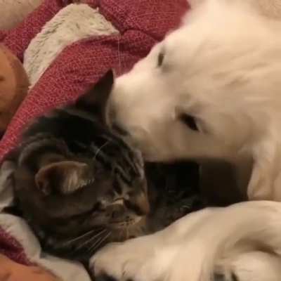 best friends :3