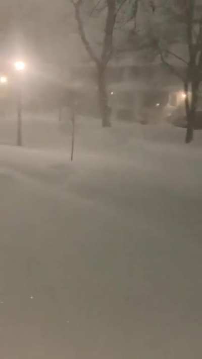 Why the fuck do we still live here?