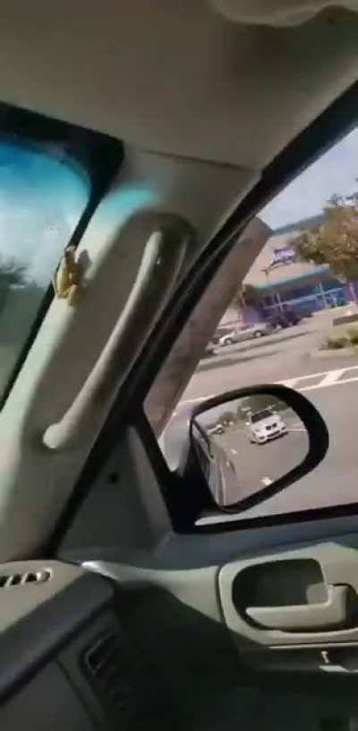 Froggy on car