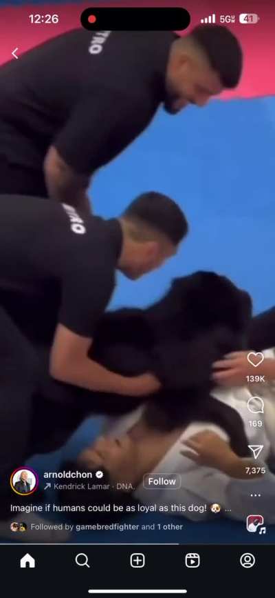 Dog said &ldquo;we have to check dis moment&rdquo;