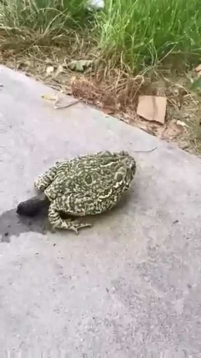 Одним вопросом "Как?.." в моей жизни стало меньше. Правда, не понимаю, зачем мне это знание...