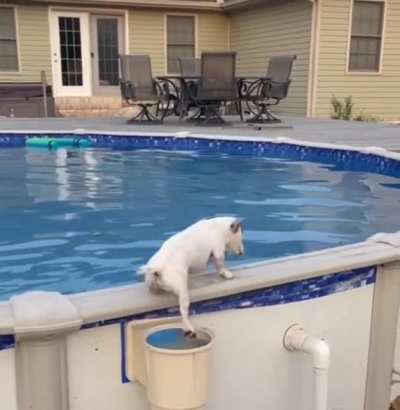 There&rsquo;s got to be a better way to get out of the pool, but this is very creative.