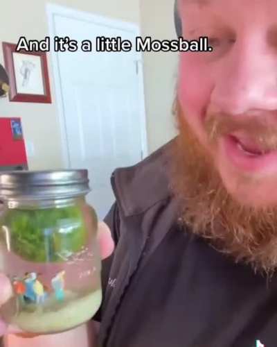 What&rsquo;s you favorite tiny pointless item? :)