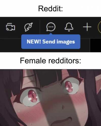 What have they done