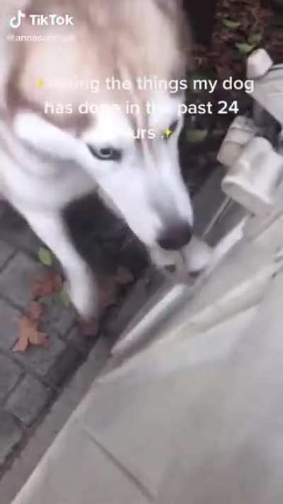 Oh...