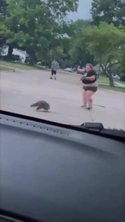 Vai mexer com o guaxinim