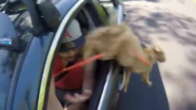 An idiot in car