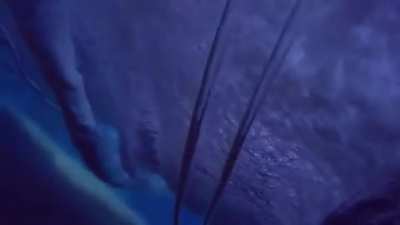 Under Water