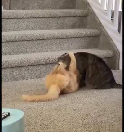 Бум бум бум)