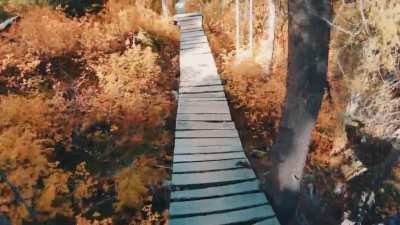 One of the coolest trails in the world-LYM-Kicking Horse Bike Park