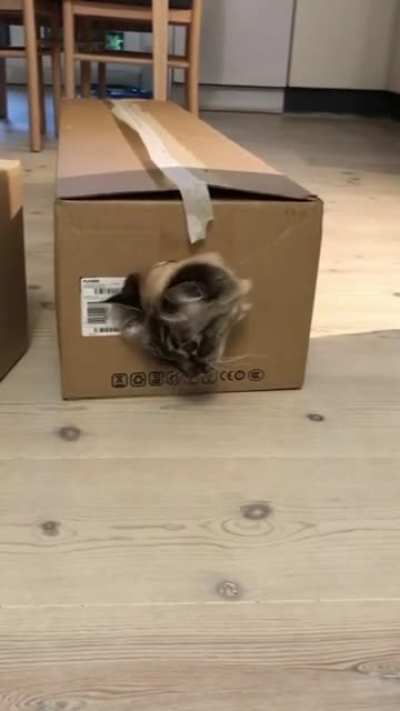 "Nice try"