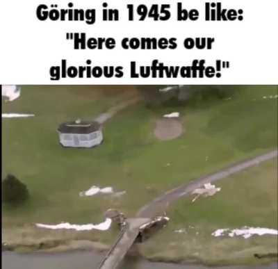 G&ouml;ring be like