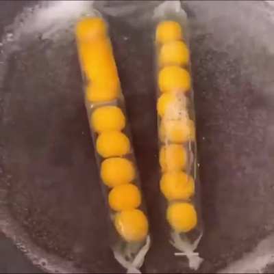 Egg sausages