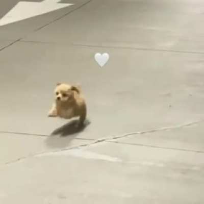 I&rsquo;m running fastest I can wait for meee