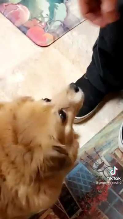 NoMnOmNoMnOmNoM