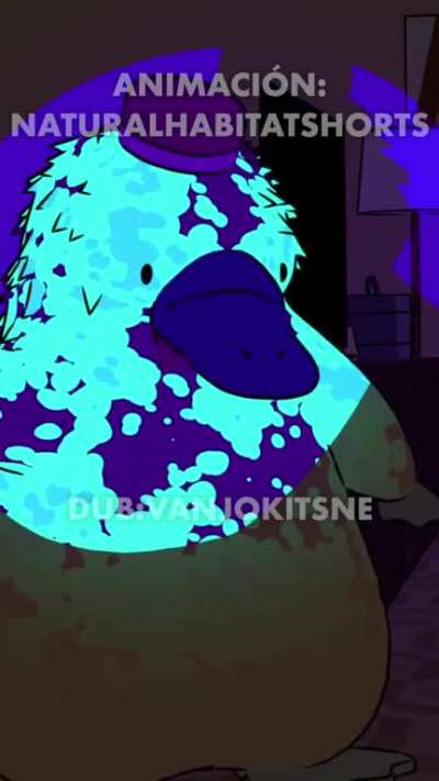 Que significa azul!? 😰