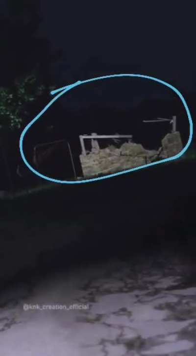can you find the cat?