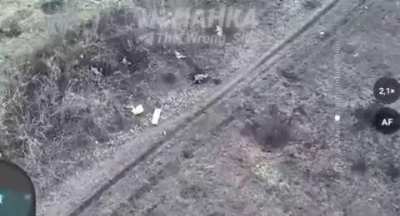 Several drone drops on Ukrainian infantry cause casualties, graphic, near Kleshcheevka