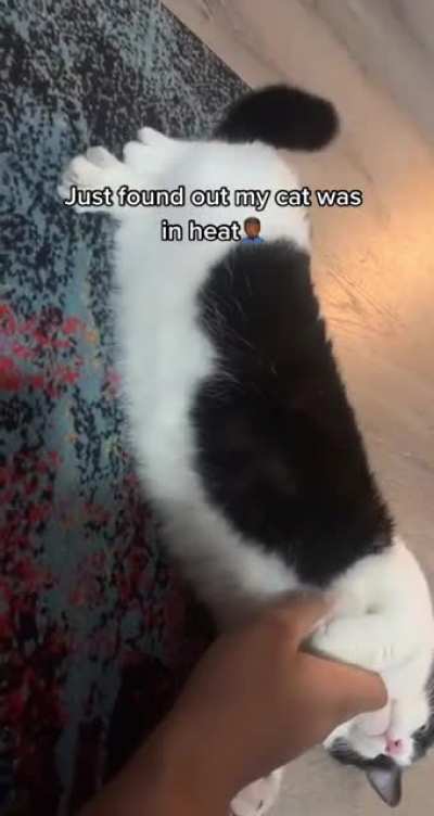 hmm