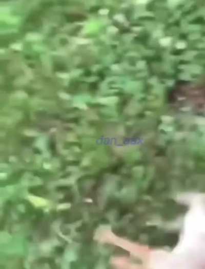what&rsquo;s up with this bunny